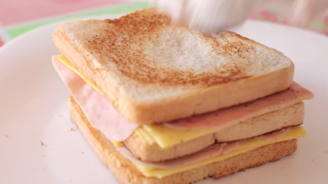 Dog Makes Sandwich For Breakfast For 1 Minute Funny Bailey