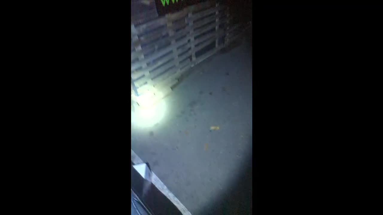 2023-03-09 (9) - en route vers l'intraterre - Twitch Decheterie