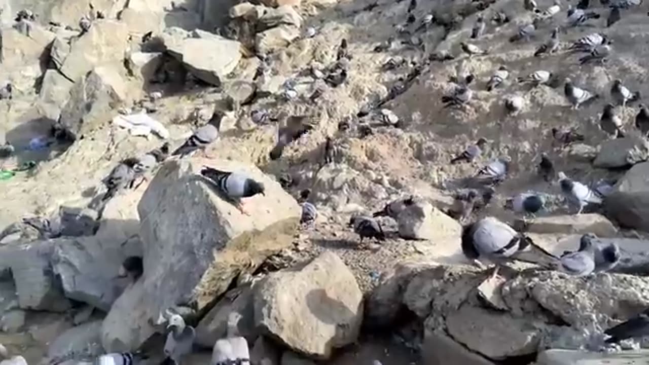 Ghar e hira