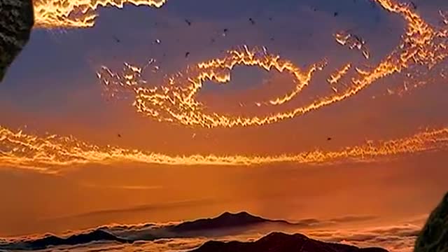As the migratory birds fly south and return to the sea, I hope you come for me