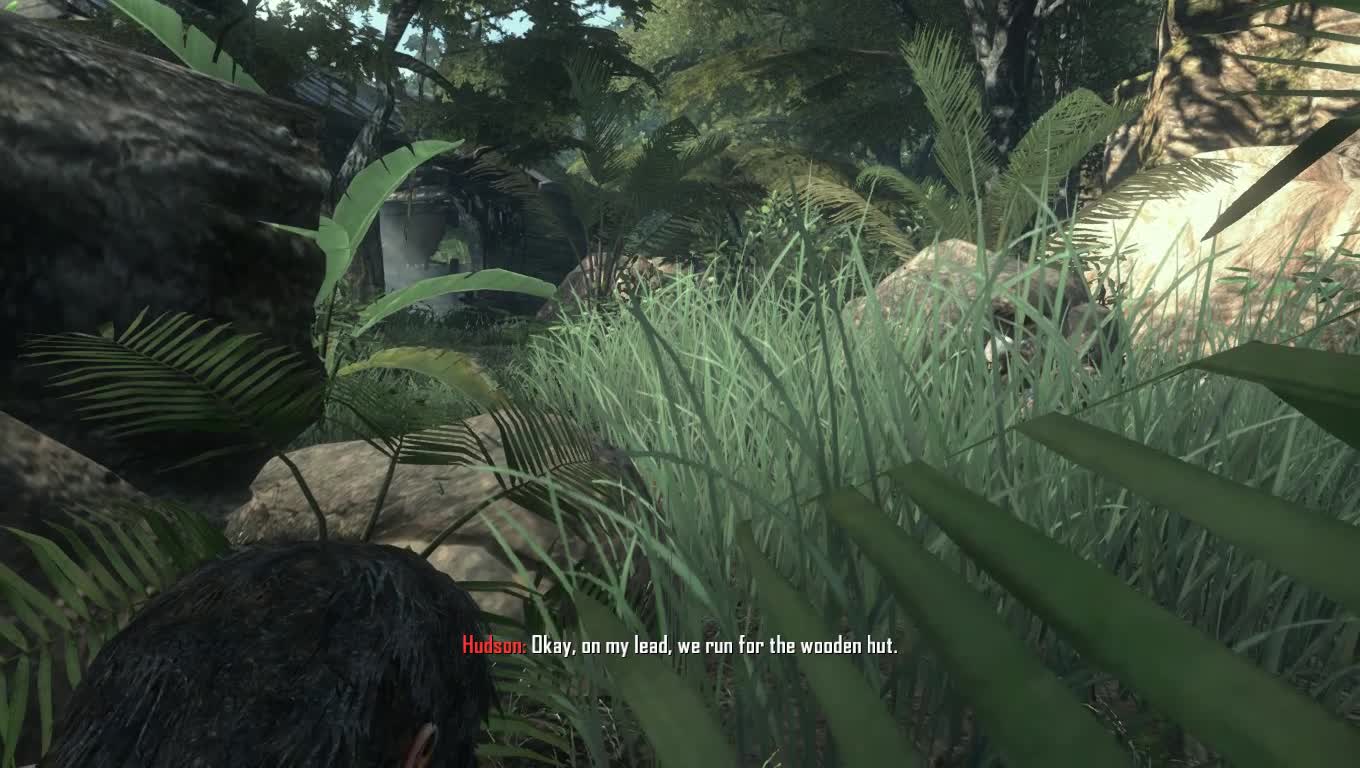 Hudson, Mason & Woods - Run For The Wooden Hut Call Of Duty Black Ops 2 Game-Play
