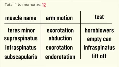 The Ultimate Guide to Memorization (Student Edition)