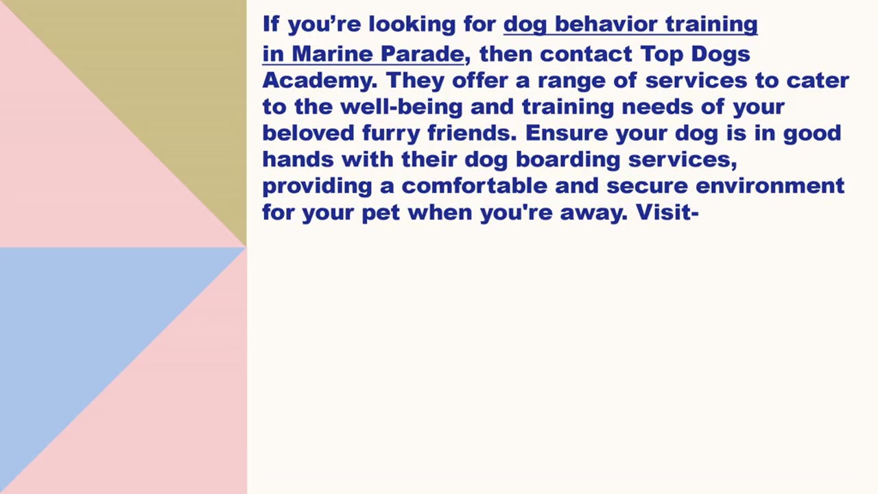 Best dog behavior training in Marine Parade