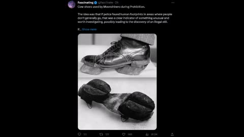 Fascinating - Cow Shoes