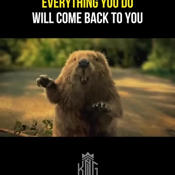 A beaver saved a man from death.