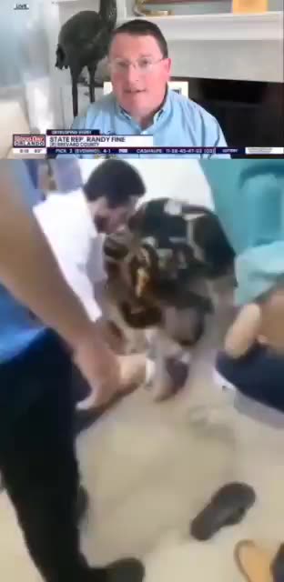 תופעת לוואי מוות נער בן 13 מת במרכז החיסונים בברזיל אז למה טוענים שהחיסונים בטוחים ויעילים עקבו אחר הכסף 🤑🤑🤑