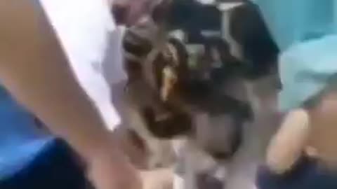 תופעת לוואי מוות נער בן 13 מת במרכז החיסונים בברזיל אז למה טוענים שהחיסונים בטוחים ויעילים עקבו אחר הכסף 🤑🤑🤑