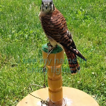 More from the pow wow