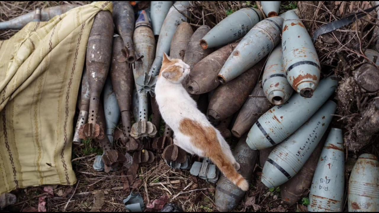 Ukraine's Ammunition Shortages.