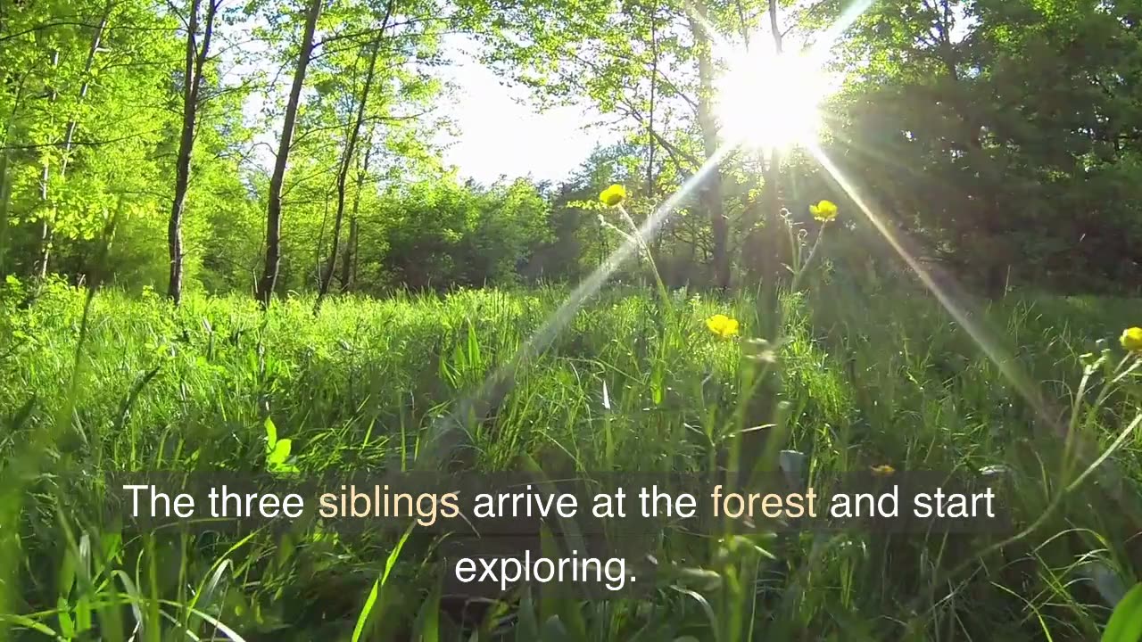 FOREST TRIP (SIBLINGS)