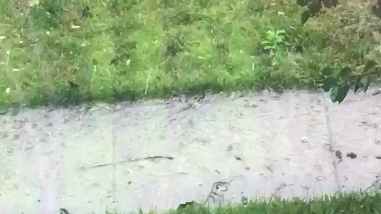 Rain Flooding Sidewalk