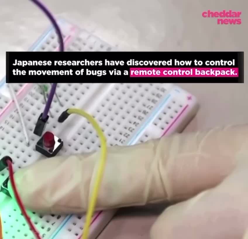 Cyborg Cockroaches 🪳