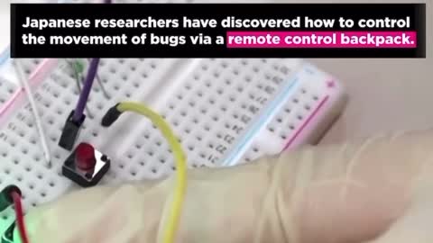 Cyborg Cockroaches 🪳