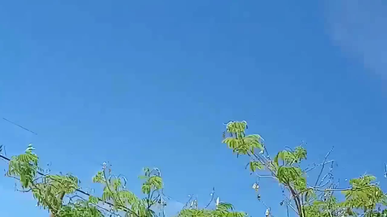 Poisoning of our skies