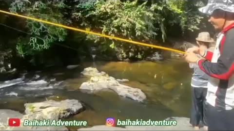 This is a beautiful and charming water-dwelling species