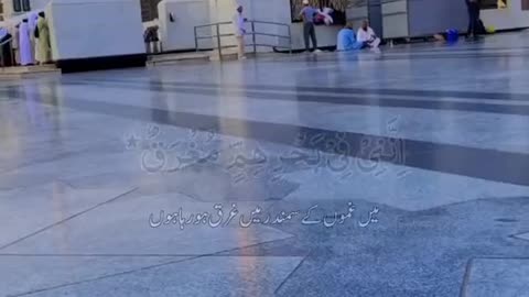 یا رسول اللّٰه انظر حالنا