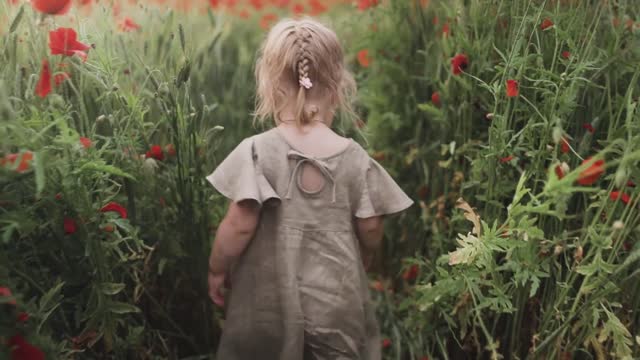 Girl Walking Between Red Poppy Flower