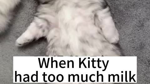 When Kitty had too much milk