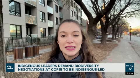 Calls for Indigenous-led nature protection at COP15