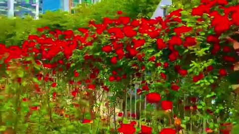 Beautiful scenery. Come and have a look