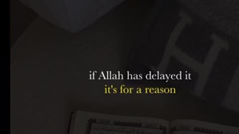 Allah plan is perfect | Mufti Menk