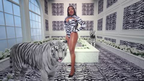 Cardi B ft Megan Thee Stallion WAP