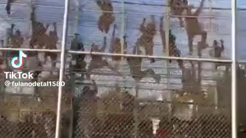Status update of the American southern border