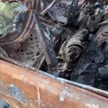 Only Skeletons Remain(Zaporozhye)