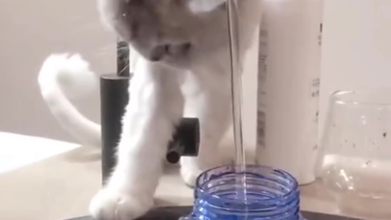where is the water?!!