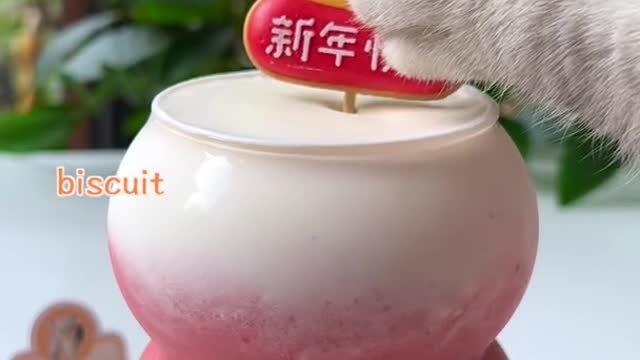 Sweety Cat Cook Sweet Strawberry Condensed Milk | Homemade Drink Recipe | Cute Cat TikTok #Shorts