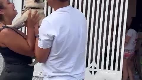 Puppy and Parents Reunite