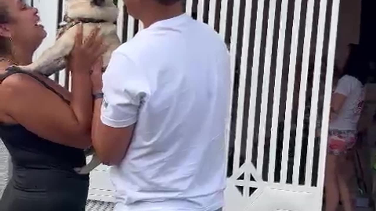 Puppy and Parents Reunite