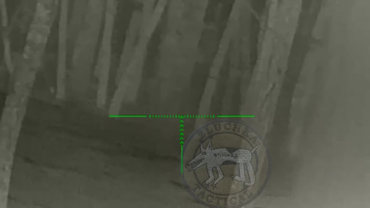 Russian Sniper hunting in Kremmenaya Forest