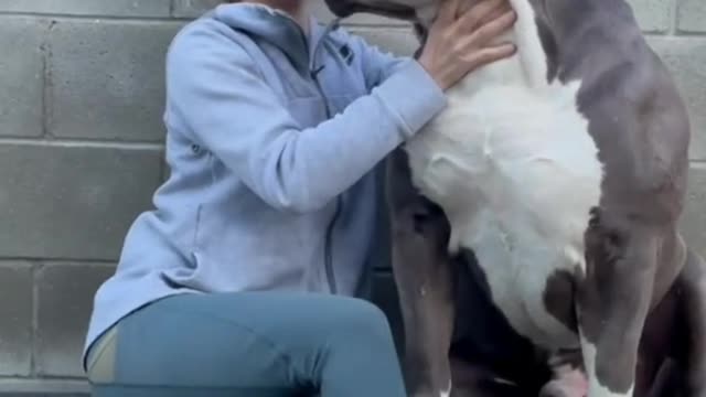 Funny animals