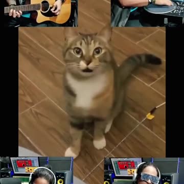 kitty tune