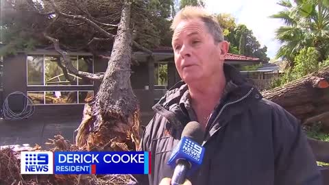 A surprise storm has uprooted trees crushing homes and cars across the suburbs.