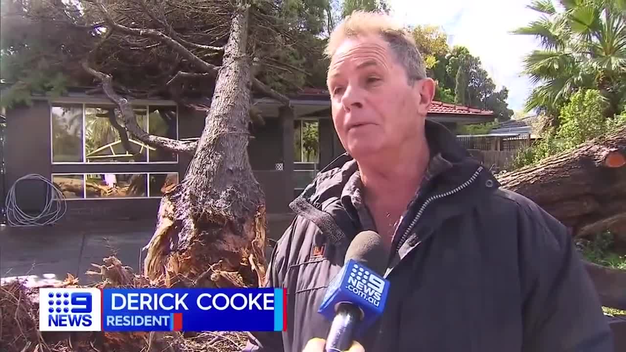 A surprise storm has uprooted trees crushing homes and cars across the suburbs.