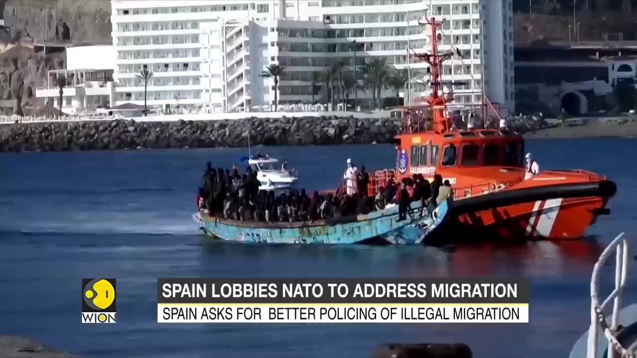 Spain lobbies NATO, allies over Ukraine-driven migration | Latest English News | WION