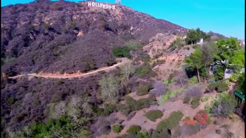 Hollywood Hills View
