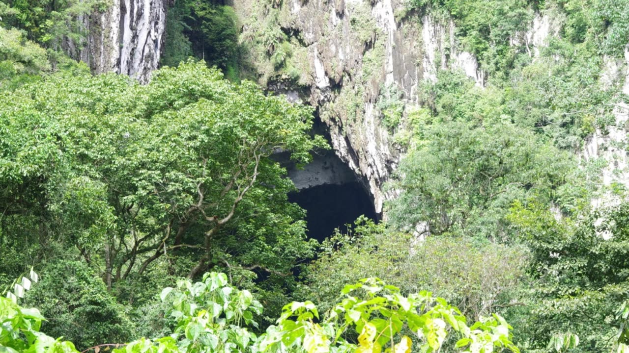 Trek Through Paradise - An Adventure in Gunung Mulu National Park, Malaysia!