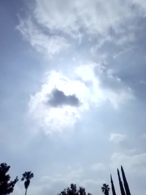 Mon, Apr 17, 3:30pm (finish), 2023, Derek Kube.