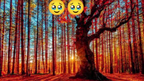 Viral vedios