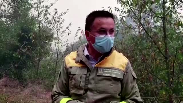 Spain wildfire was started deliberately - official