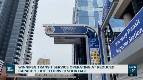 Winnipeg Transit dealing with driver shortage