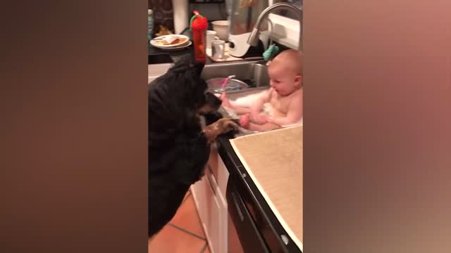 Cute Babies Playing With Dogs Compilation _ Funny Baby And Pets~7