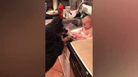 Cute Babies Playing With Dogs Compilation _ Funny Baby And Pets~7