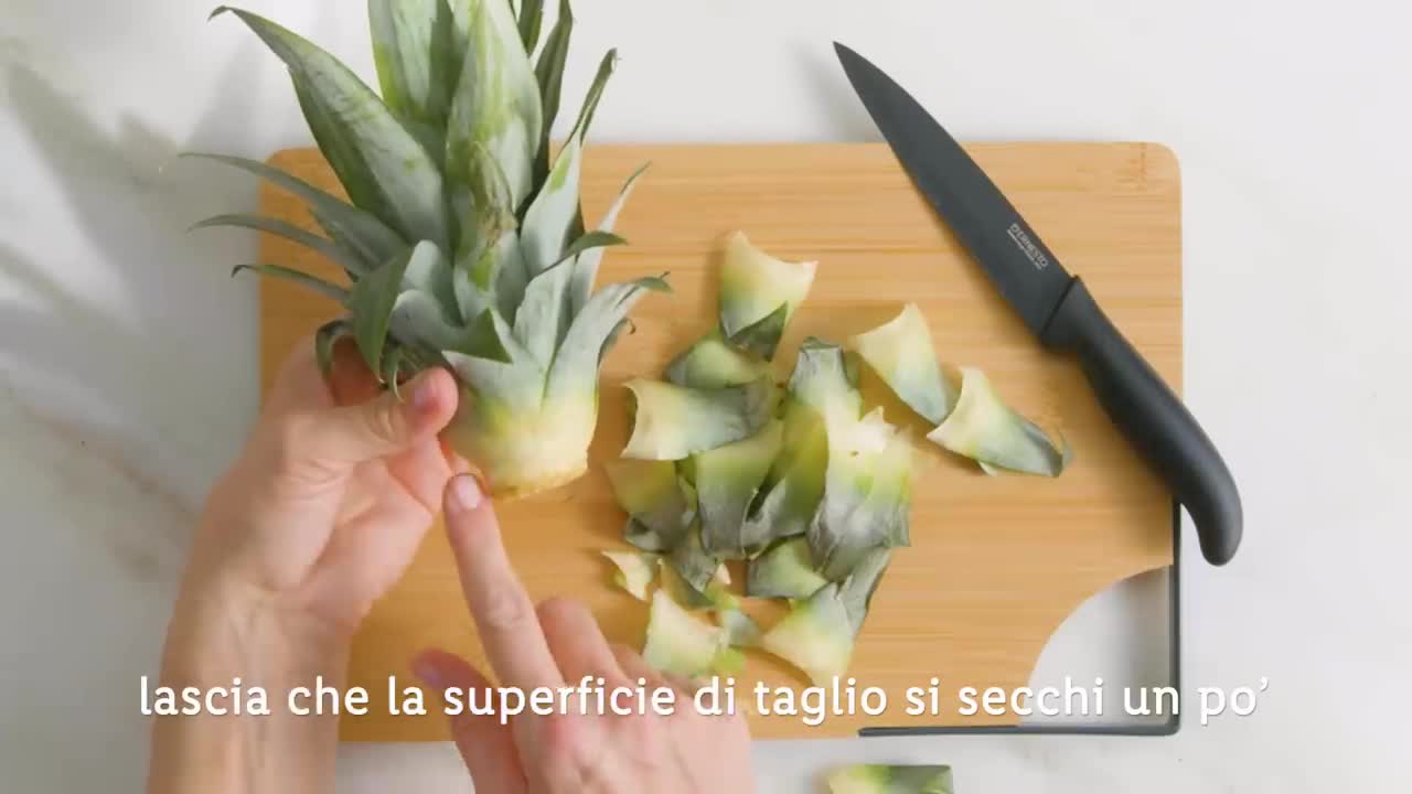 Come piantare l'ananas | Idee creative fai da te | LIDL Italia