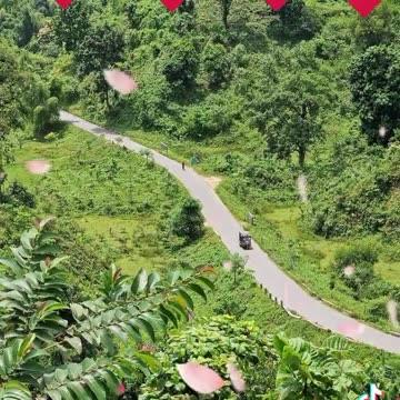 168 of the funniest video clips from Grltion TV