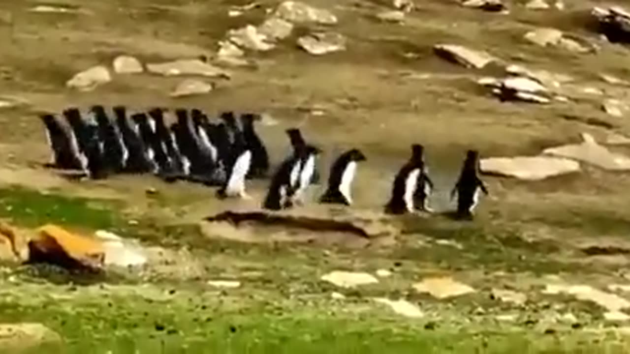 Hey-thats-not-our-group-