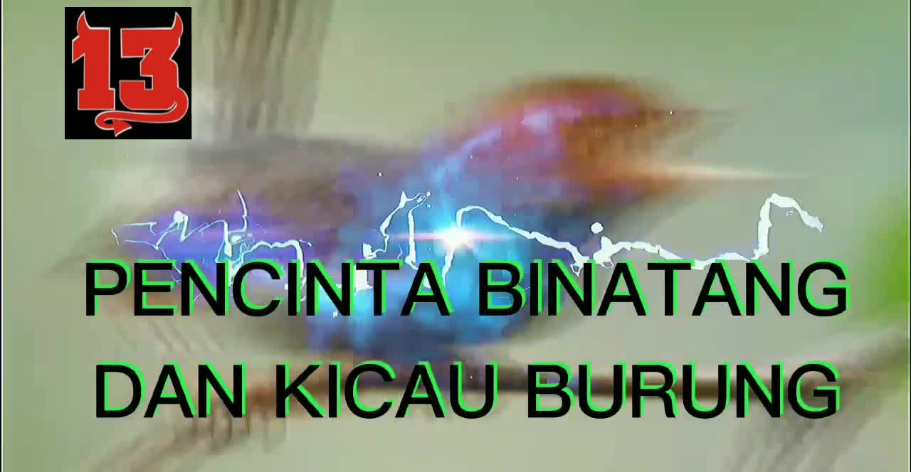 PENCINTA BINATANG DAN KICAU BURUNG